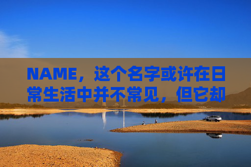 NAME，这个名字或许在日常生活中并不常见，但它却在某些领域里扮演着重要的角色。今天，让我们一起来探索这个名字背后的故事和意义
